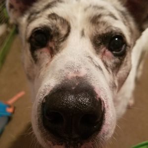 Meet your Posher, Katelyn